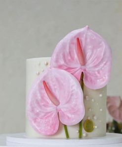 Zahra Cake